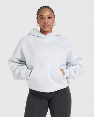 Sweat a Capuche Oner Active All Day Varsity Oversized Grise Clair | MN0561328